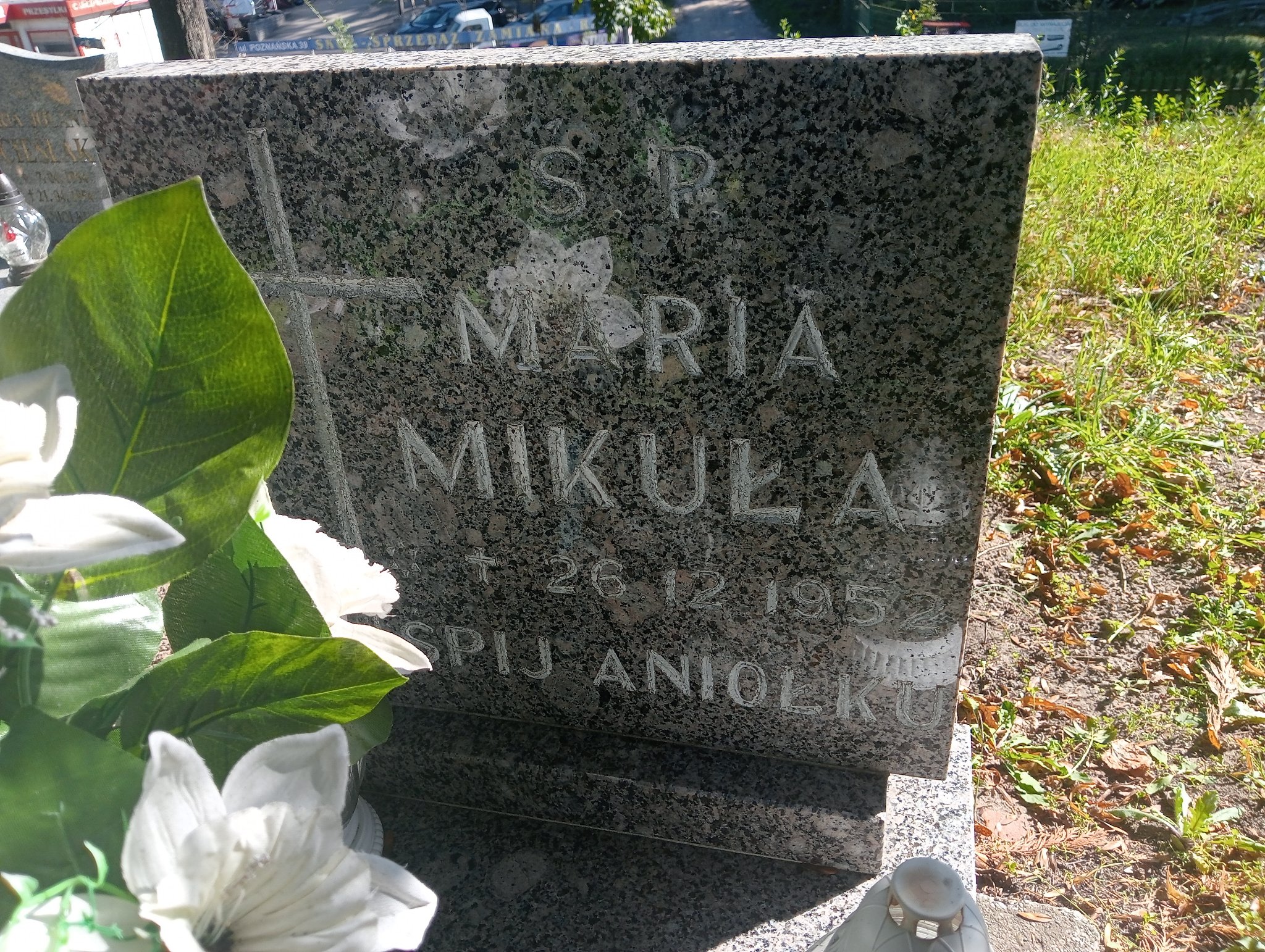 Maria Mikuła 1952 Murowana Goślina - Grobonet - Wyszukiwarka osób pochowanych