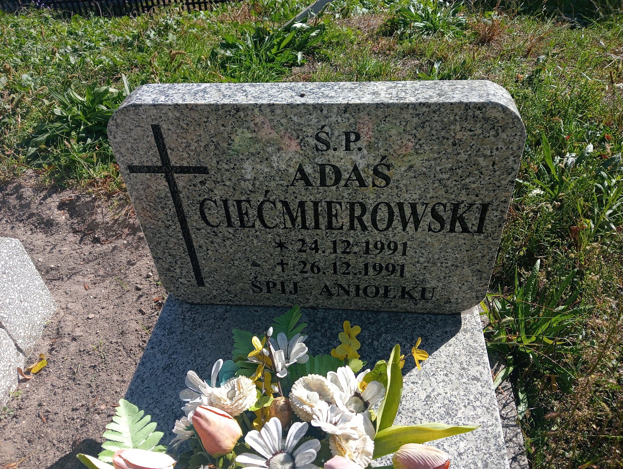Adam Ciećmierowski 1991 Murowana Goślina - Grobonet - Wyszukiwarka osób pochowanych