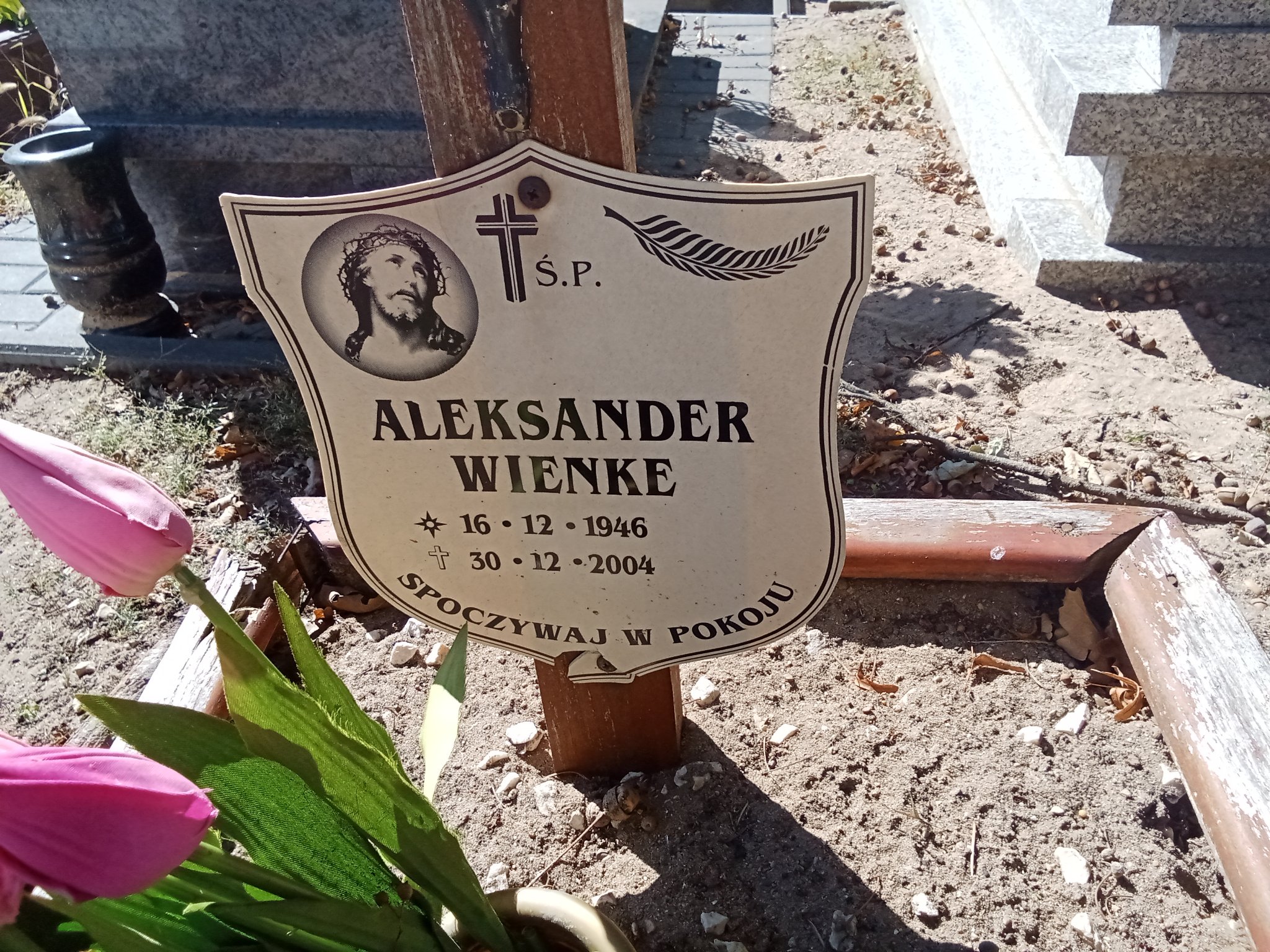 Aleksander Wienke 1946 Murowana Goślina - Grobonet - Wyszukiwarka osób pochowanych