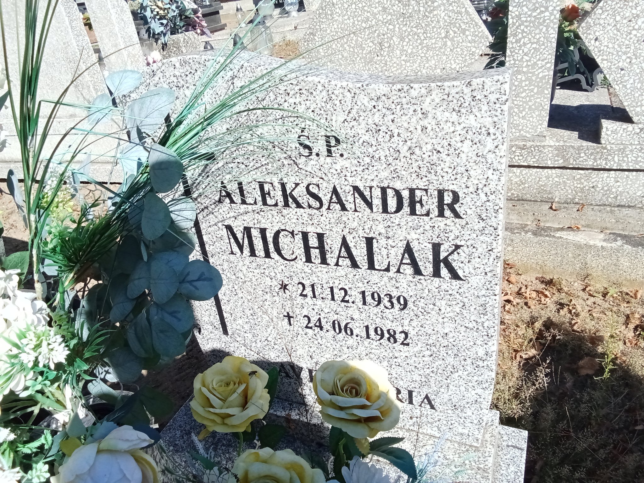 Aleksander Michalak 1939 Murowana Goślina - Grobonet - Wyszukiwarka osób pochowanych