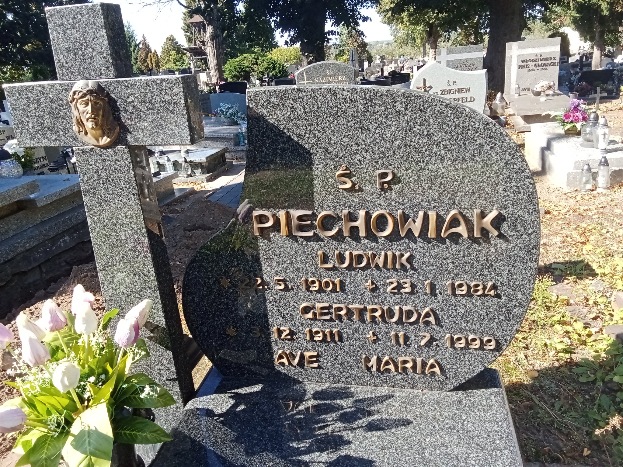 Gertruda Piechowiak  1911 Murowana Goślina - Grobonet - Wyszukiwarka osób pochowanych