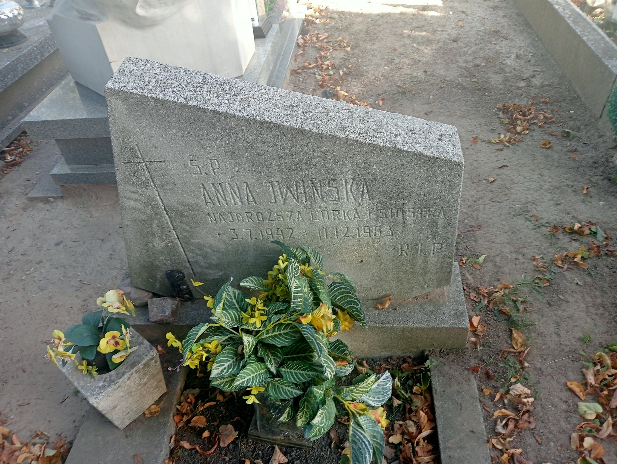 Anna Iwińska 1942 Murowana Goślina - Grobonet - Wyszukiwarka osób pochowanych