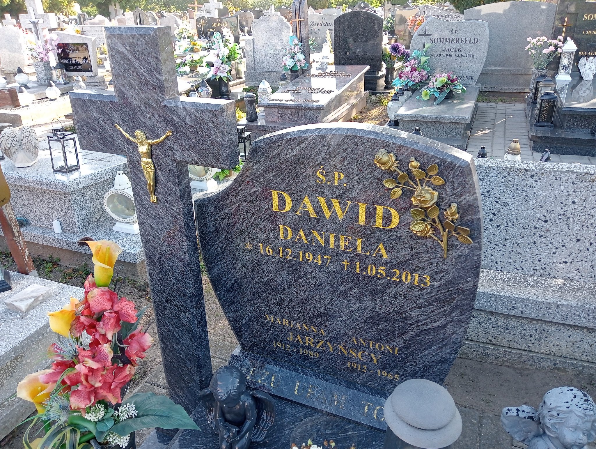 Daniela Dawid 1947 Murowana Goślina - Grobonet - Wyszukiwarka osób pochowanych