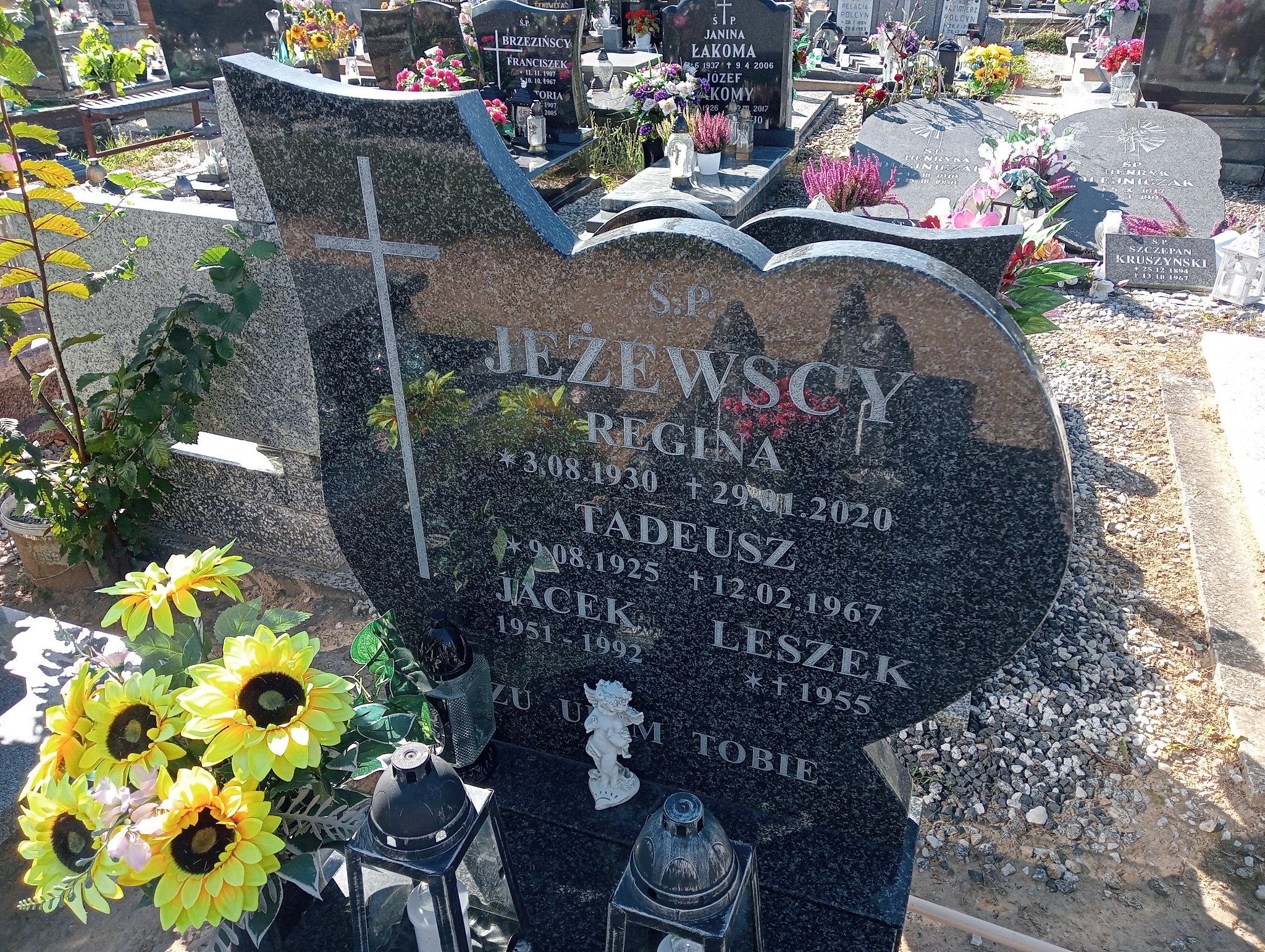 Jacek Jeżewski 1951 Murowana Goślina - Grobonet - Wyszukiwarka osób pochowanych