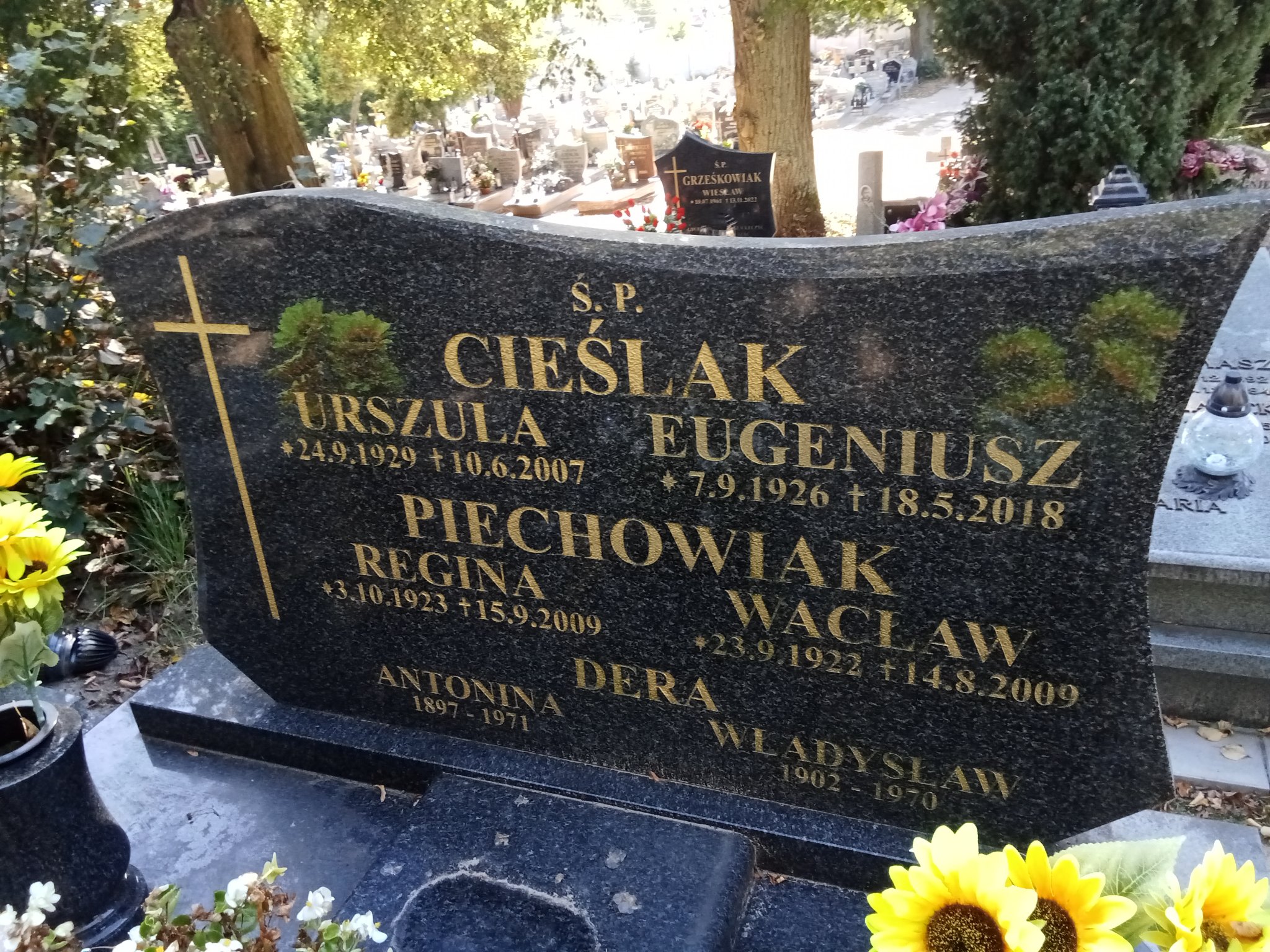 Urszula Cieślak 1929 Murowana Goślina - Grobonet - Wyszukiwarka osób pochowanych