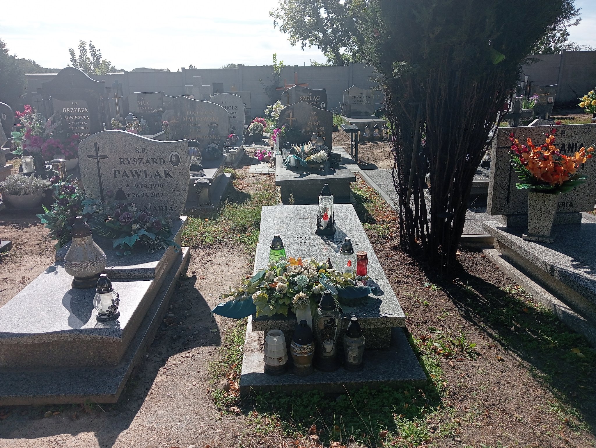 Grób Zofia Wilniewczyc